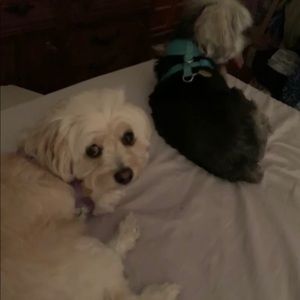 Meet your Posher, Karla